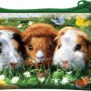 Deluxebase 3D Livelife Coin Purse - Guinea Pig From Deluxebase. Lenticular 3D Pet Purse. Cash, Coin And Card Holder With Secure Zipper Featuring Artwork Licensed From Renowned David Penfound | Coin Purses & Pouches